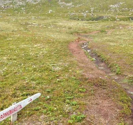 For In Nyksund