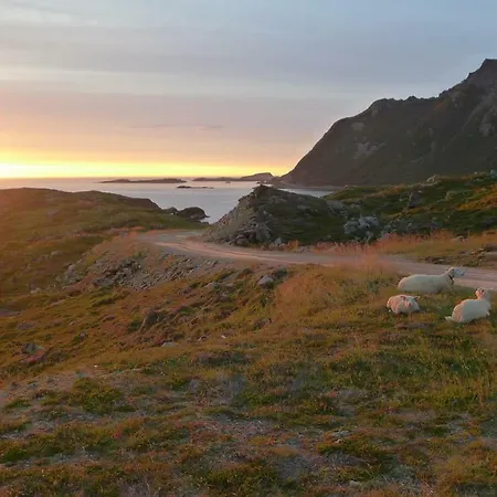 Appartement For In Nyksund